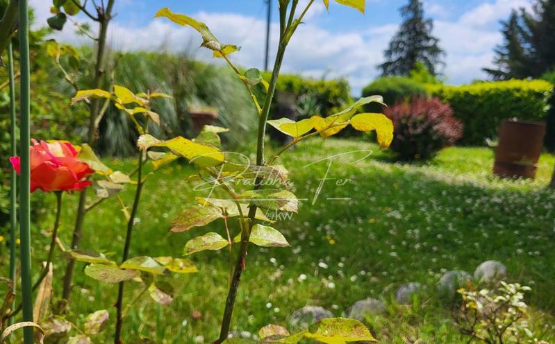 Maison - 85 m² - 5 pièces