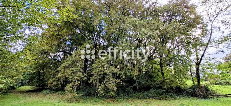 Maison de campagne - 135 m² - 5 pièces