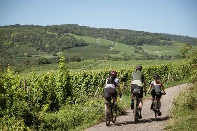 L'Avinture oenotouristique