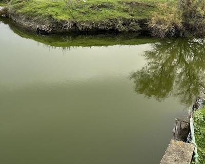 Terrain - 11 140 m²