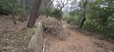 Terrain de loisirs - 3 684 m²