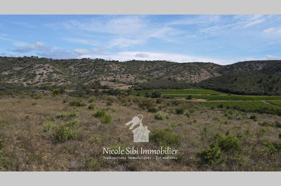 Terrain agricole - 15 861 m²