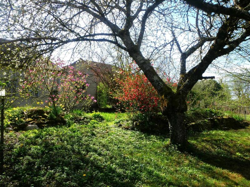 Maison - 157 m² - 6 pièces