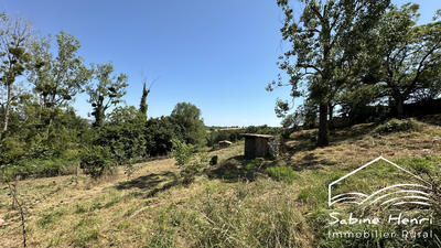 Terrain - 10 316 m²