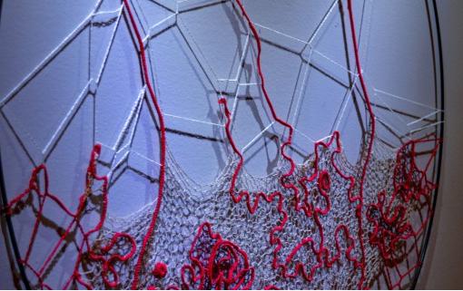 Rendez-vous des curieux - exposition