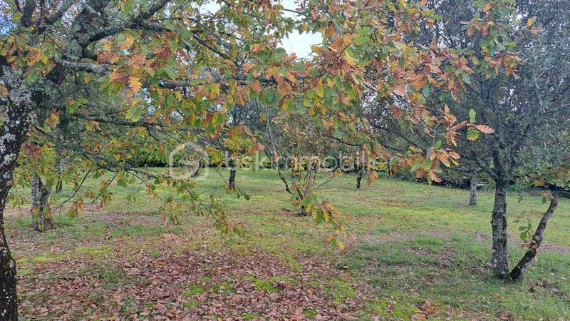 Maison - 121 m² - 5 pièces