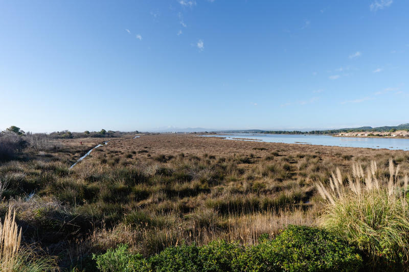 Maison - 39 m² - 3 pièces