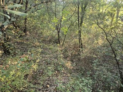 Terrain - 15 720 m²