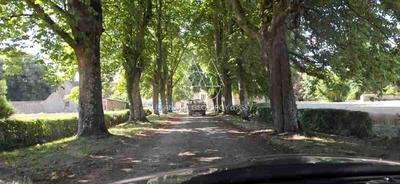 Château - 1 200 m² - 25 pièces