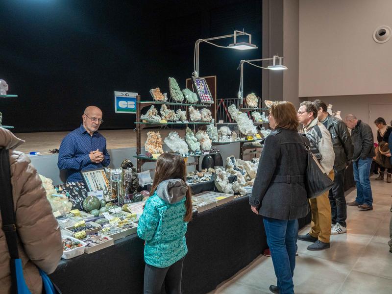 46ème Bourse Minéraux et Fossiles de Guilherand-Granges