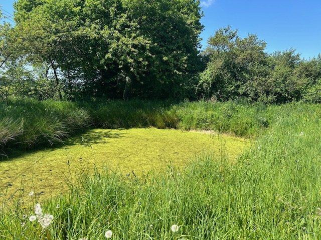 Maison ancienne - 115 m² - 6 pièces