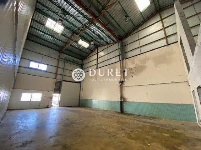 Local d'activités - 595 m²