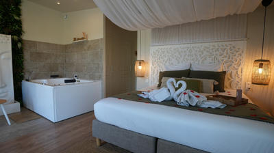 Maison - 305 m² - 10 pièces