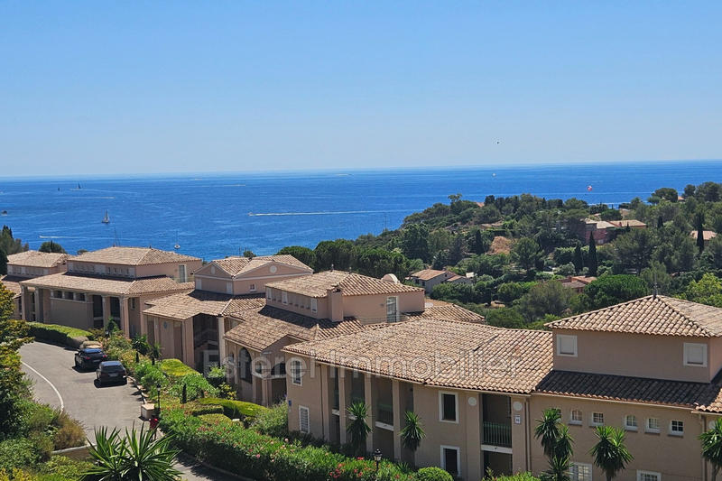 Appartement - 26 m² - 1 pièce