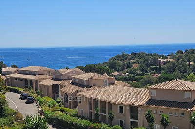 Appartement - 26 m² - 1 pièce