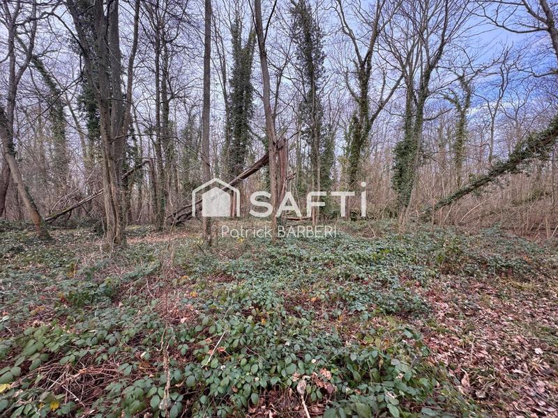 Terrain - 58 000 m²