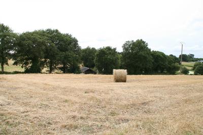 Terrain - 22 800 m²