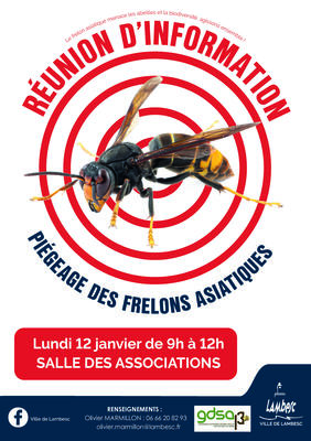 Réunion d'information sur le piégeage des frelons asiatiques
