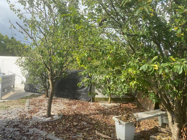 Maison - 32 m² - 1 pièce