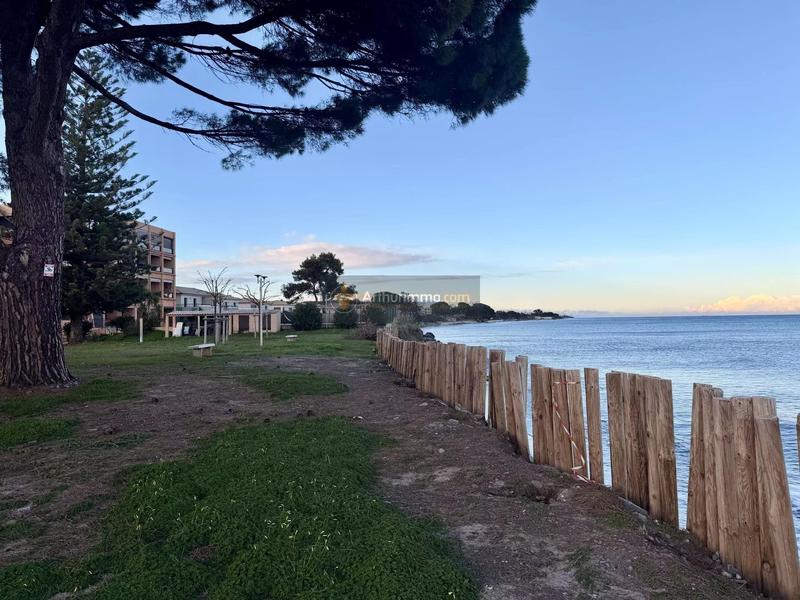 Appartement - 31 m² - 1 pièce