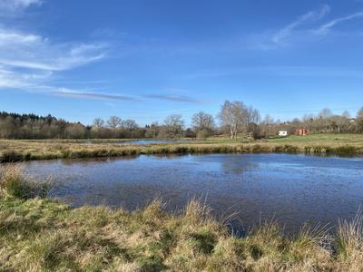 Terrain de loisirs - 29 210 m²