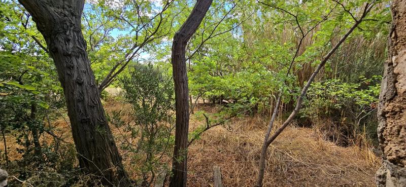 Local commercial - 75 m²