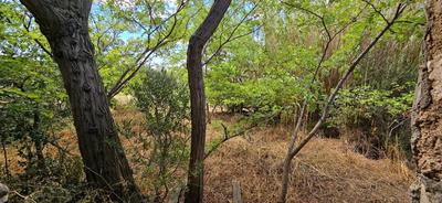 Local commercial - 75 m²