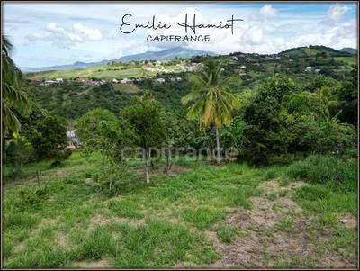 Terrain constructible - 1 060 m²