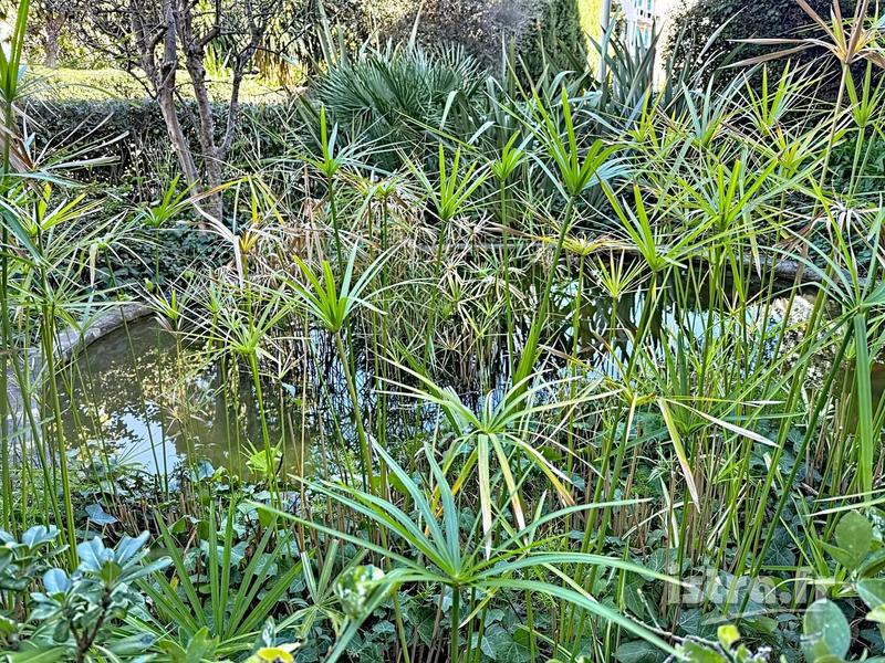 Appartement - 76 m² - 3 pièces