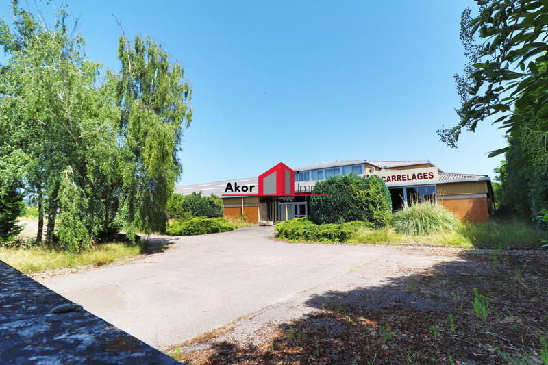 Local d'activités - 3 050 m² - 10 pièces