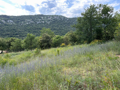 Terrain - 1 331 m²
