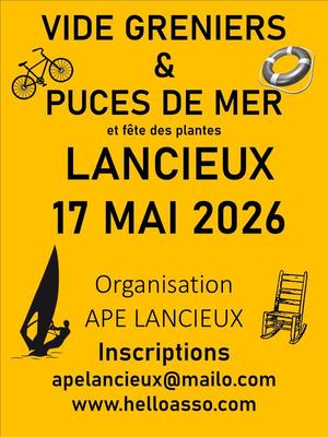 Vide greniers et puces de mer