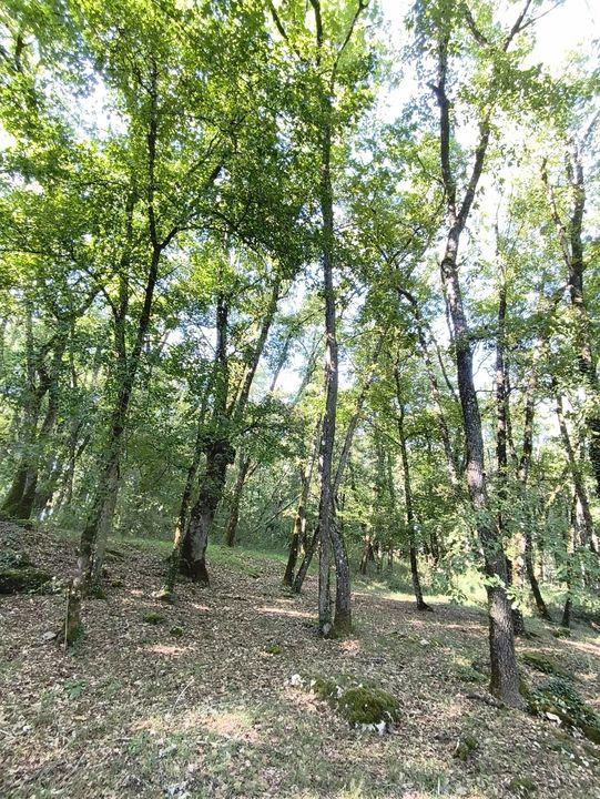 Maison - 163 m² - 7 pièces