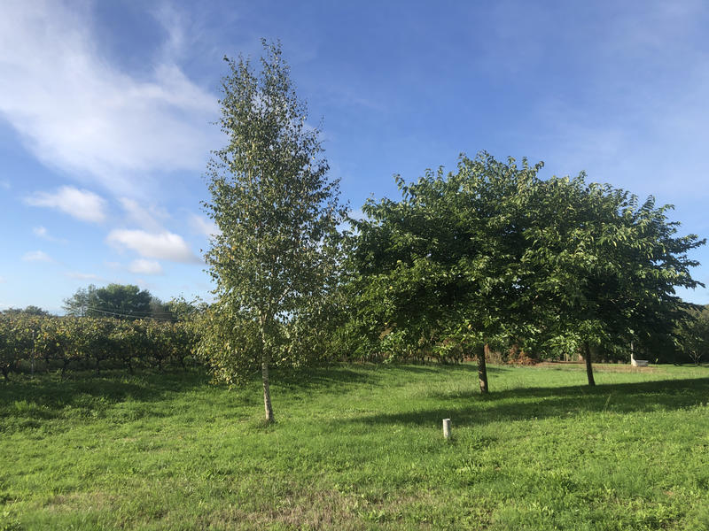 Maison - 143 m² - 4 pièces