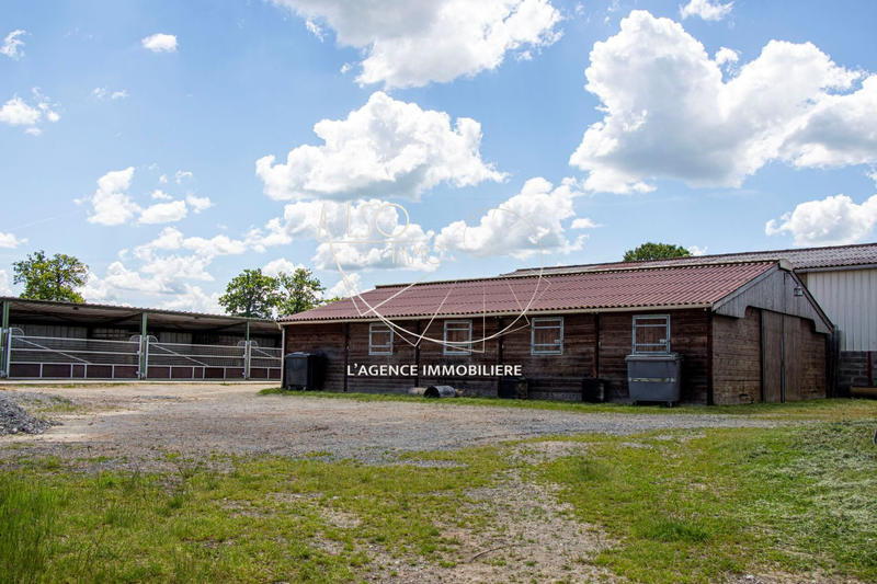 Ferme - 226 m² - 5 pièces