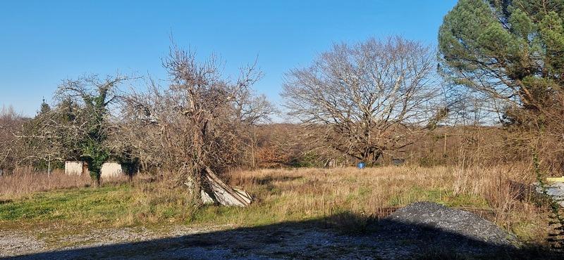 Bureau - 565 m² - 5 pièces