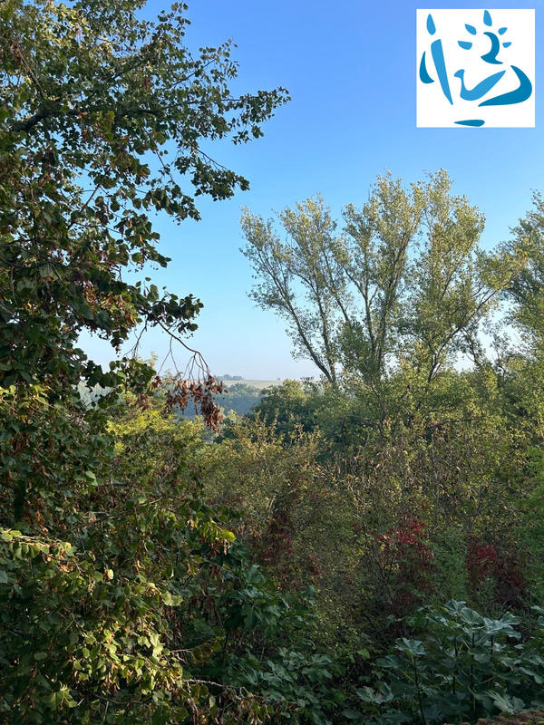 Maison - 128 m² - 5 pièces