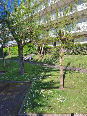 Appartement - 98 m² - 4 pièces