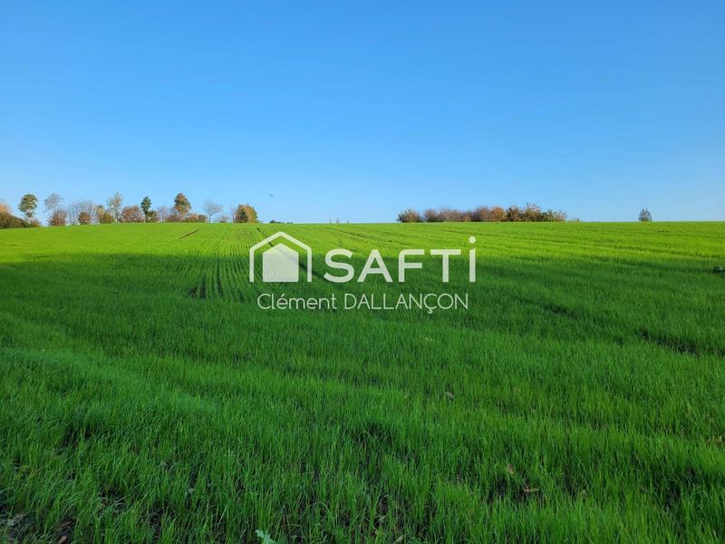 Maison - 325 m² - 8 pièces