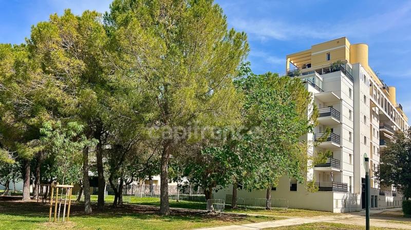 Appartement - 50 m² - 2 pièces