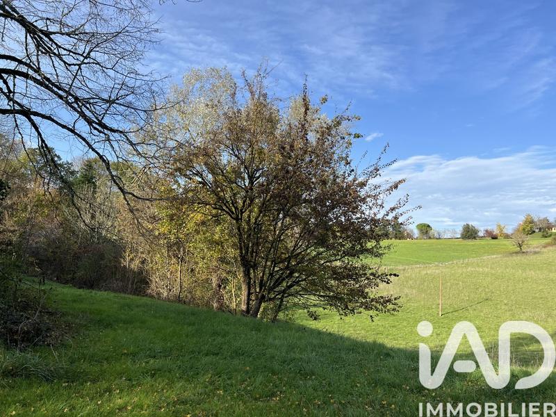 Maison de campagne - 300 m² - 10 pièces