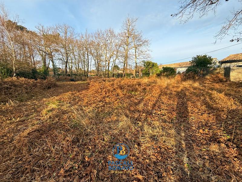 Terrain - 989 m²