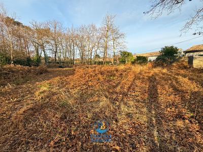 Terrain - 989 m²