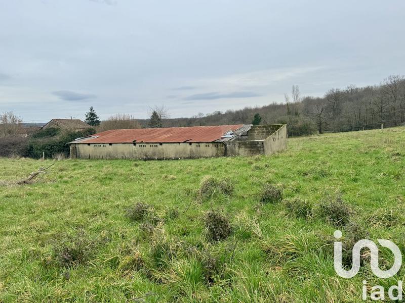 Maison - 250 m² - 1 pièce