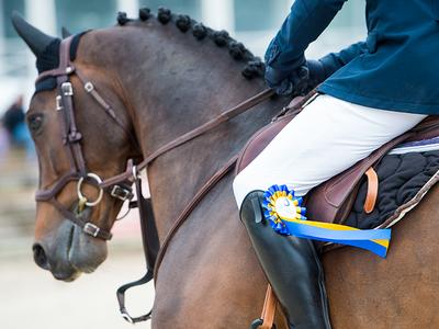 Concours de saut d’obstacles : National Hunter Ffe