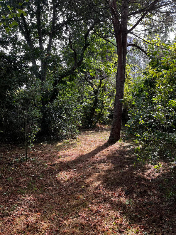 Maison - 165 m² - 7 pièces