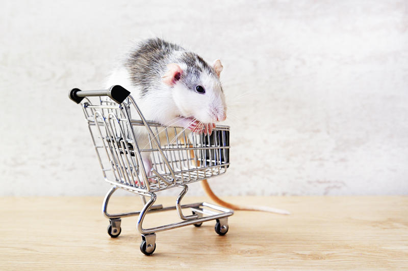 Pas dans la dentelle