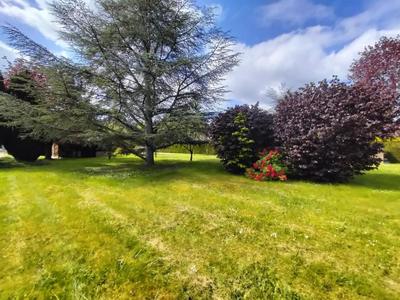 Terrain constructible - 1 805 m²