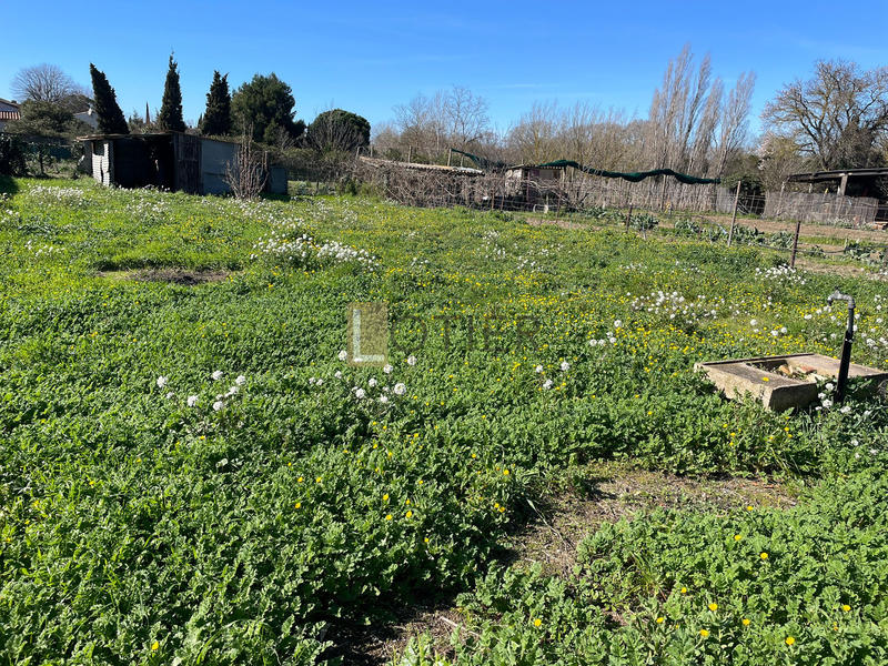 Terrain de loisirs - 431 m²