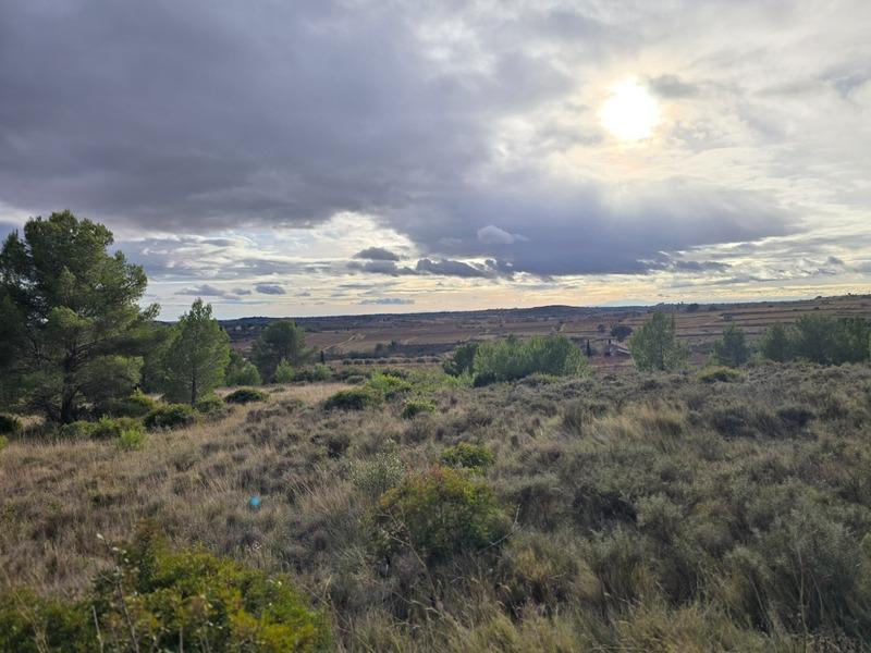 Terrain agricole - 8 540 m²